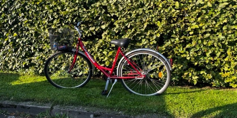 POL-HK: Soltau: Eigentümer zu einem Fahrrad gesucht (Foto); Schwarmstedt: 2,82 Promille auf dem Fahrrad; Rethem: Gegenstände aus Boot entwendet; Soltau: Verschließen Sie ihre Fahrzeuge! - Foto: presseportal.de