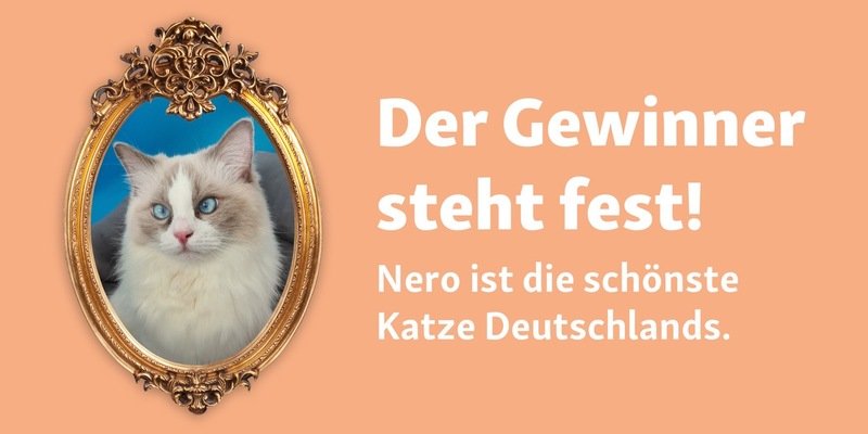 Weltkatzentag: Fressnapf hat die schönste Katze Deutschlands gefunden! - Foto: presseportal.de