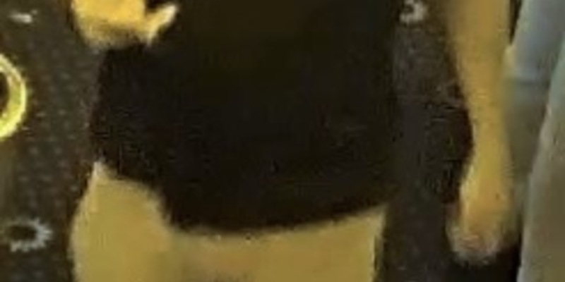 LPI-NDH: Öffentlichkeitsfahndung: Unbekannte bringen Falschgeld in Umlauf - Wer erkennt die Täter? - Foto: presseportal.de