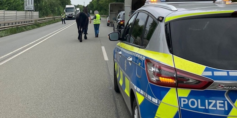POL-MI: Reifenpanne löst tierischen Einsatz aus - Foto: presseportal.de
