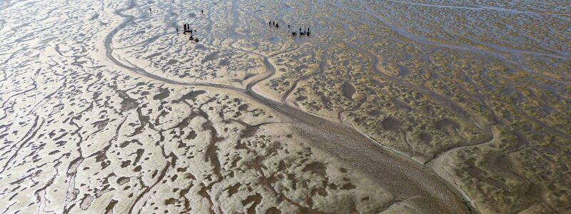 Das Meerwasser im Watt erwärmt sich besonders schnell. (Archivbild) - Foto: Frank Molter/dpa