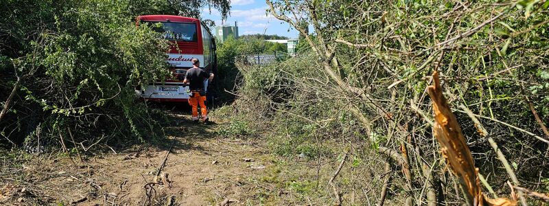 Sieben Verletzte nach Unfall eines Reisebusses auf der A72. - Foto: Mike Müller/TNN/dpa