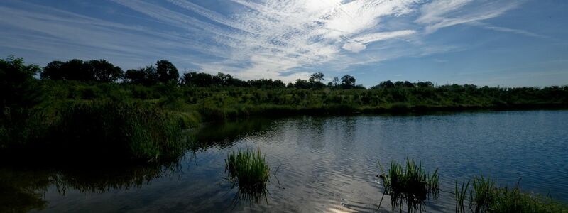 Bis zu 37 Grad erwarten Meteorologen am Dienstag. - Foto: Henning Kaiser/dpa