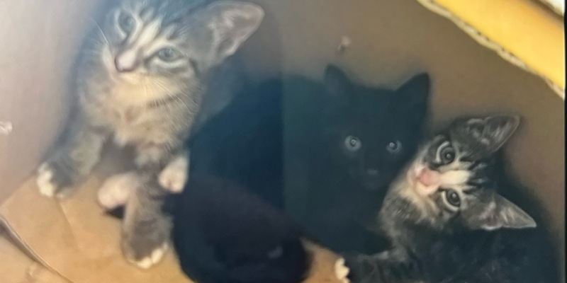 POL-BO: Kein Verständnis für sowas! - Foto: presseportal.de