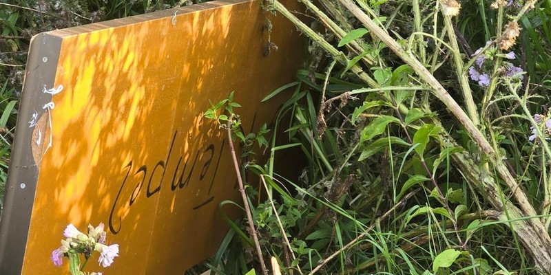 POL-SE: Groß Nordende - Unbekannte entsorgen Küchenmöbel und -geräte am Feldrand - Polizei auf der Suche nach Hinweisgebern - Foto: presseportal.de