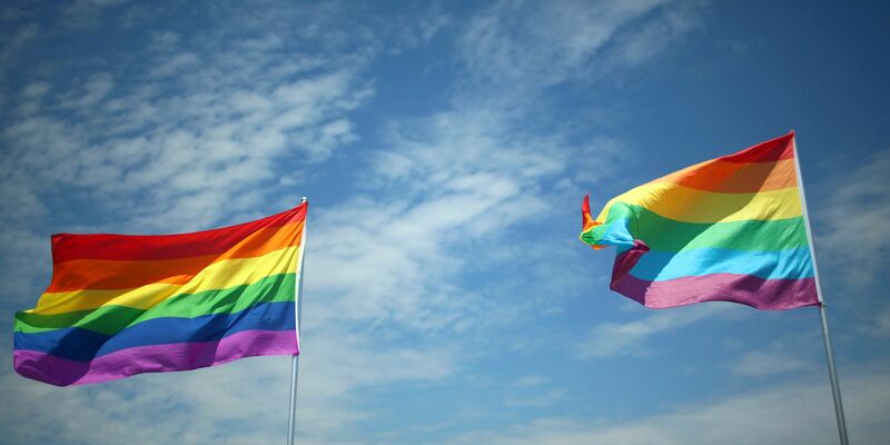 Die Regenbogenflagge gilt als Symbol für Vielfalt und Toleranz. In Neubrandenburg wurde erneut eine solche Fahne entwendet und gegen eine verbotene NS-Flagge ausgetauscht. (Archivbild) - Foto: picture alliance / dpa