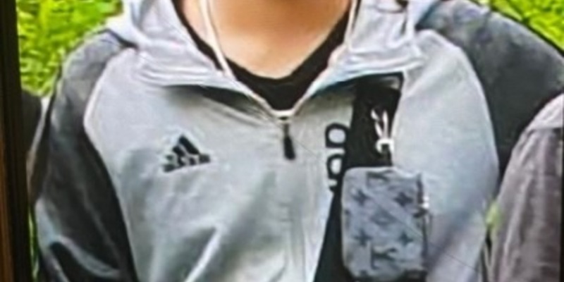 POL-WI-KvD: 14-jähriger Jugendlicher aus Wiesbaden vermisst - Foto: presseportal.de