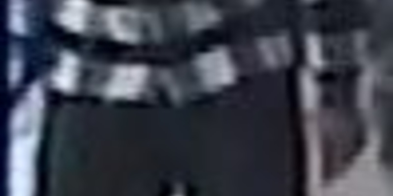 POL-STD: Schockanrufer erbeutet Gold und Schmuck im Wert von mehreren zehntausend Euro - Polizei fahndet mit Bildern nach mutmaßlichem Täter - Foto: presseportal.de