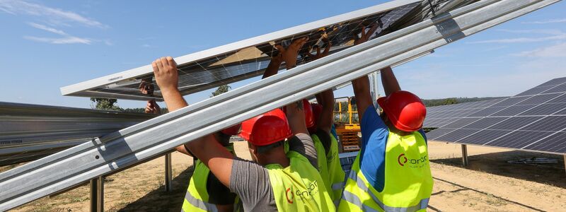 Die zeitweise große Menge an Solarstrom belastet jedoch die Stromnetze. - Foto: Thomas Warnack/dpa