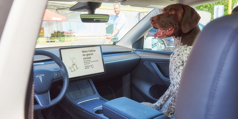 Hundemodus hält Temperatur im E-Auto konstant / Tiere sollten nicht im Auto zurückgelassen werden. Im Ausnahmefall sorgt der Haustiermodus der Klimaanlage für angenehme Temperatur - Foto: presseportal.de