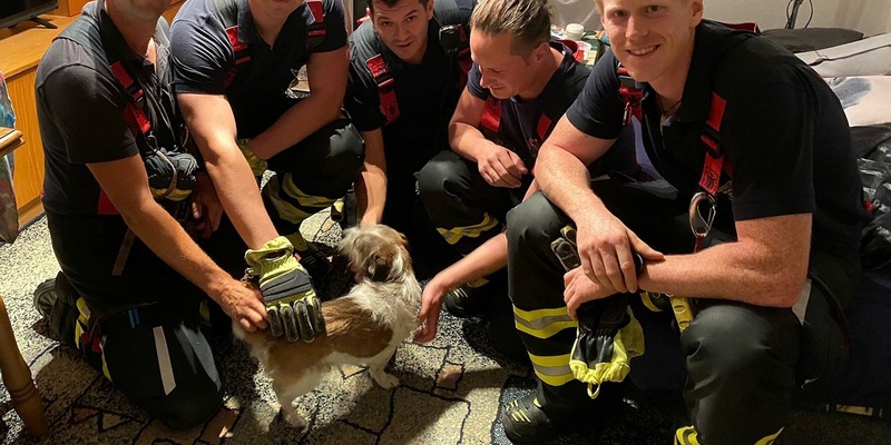FW-M: Rocky befreit - Geburtstag gerettet (Freimann) - Foto: presseportal.de