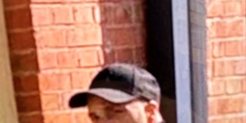 LPI-EF: Öffentlichkeitsfahndung nach Kellereinbrecher in Erfurt - Foto: presseportal.de