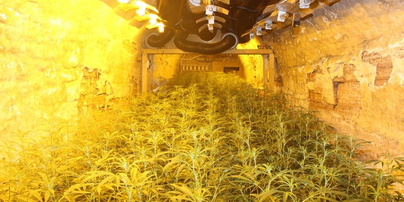 LPI-NDH: Ermittlungserfolge der Nordhäuser Kriminalpolizei - Foto: presseportal.de