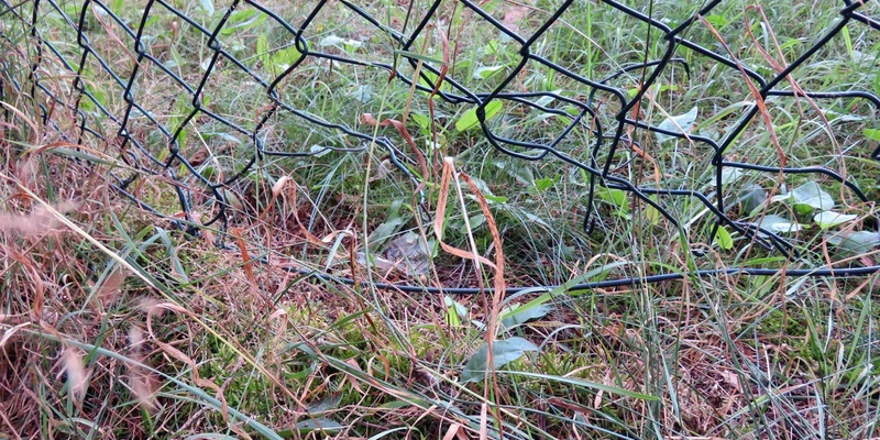 POL-EU: Maschendrahtzaun beschädigt - Foto: presseportal.de