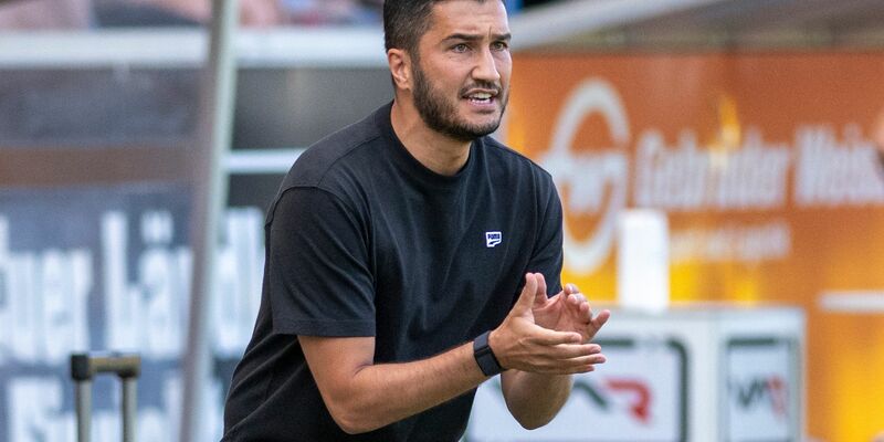 Mathias Sammer (M) dürfte Borussia Dortmund in einer etwas anderen Rolle erhalten bleiben.  - Foto: David Inderlied/dpa