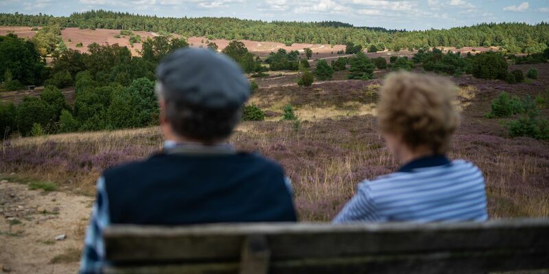 Laut Ifo-Institut könnte eine Kürzung der Steuer- und Krankenversicherungsvorteile für Eheleute eine Maßnahme gegen den Fachkräftemangel sein. - Foto: Philipp Schulze/dpa