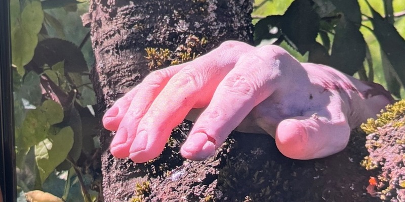 POL-PIING: Gummihand löst Polizeieinsatz aus - Foto: presseportal.de