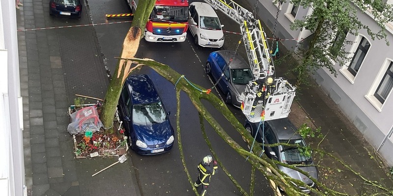 FW-DO: Abgeknickter Baum zerstört drei PKW und einen Motorroller - Foto: presseportal.de