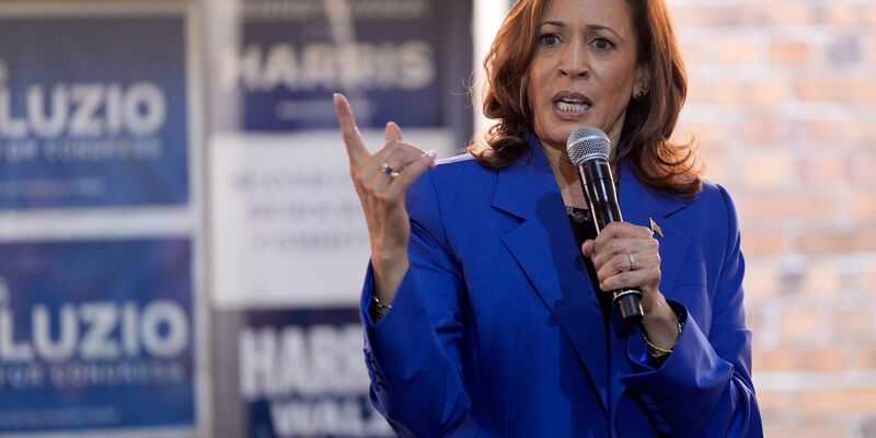 Kamala Harris will im November zur ersten Präsidentin der USA gewählt werden. - Foto: Julia Nikhinson/AP/dpa