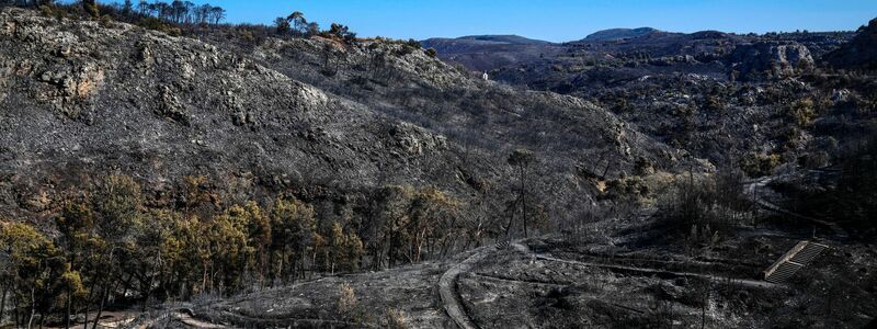 Griechenland wird in diesem Jahr von starken Waldbränden heimgesucht - die Schäden für Mensch und Natur sind groß. (Archivbild) - Foto: Petros Giannakouris/AP/dpa