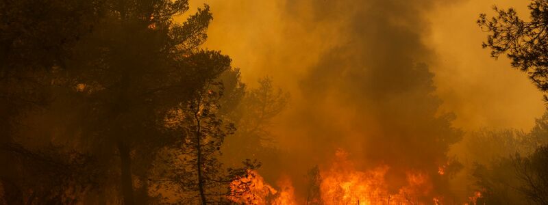 Das trockene Gehölz agiert als Brandbeschleuniger. (Archivbild) - Foto: Socrates Baltagiannis/dpa/dpa-tmn