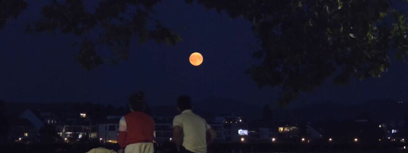 Ein «Supermond» leuchet hell und groß am Nachthimmel. - Foto: Benjamin Westhoff/TNN/dpa