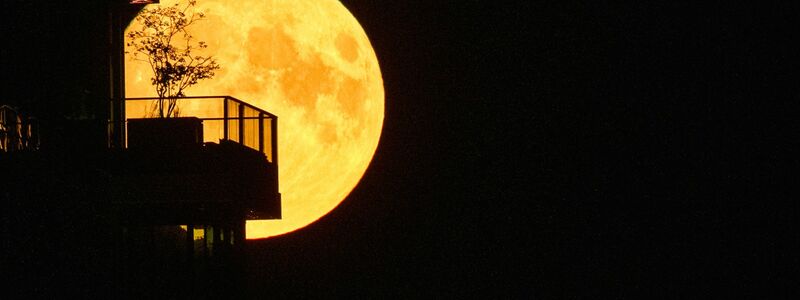 Der Supermond geht hinter einem Hochhaus an der Berliner East Side Galery auf. - Foto: Paul Zinken/dpa