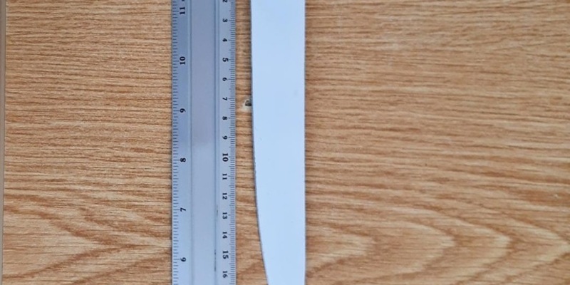 BPOLD-B: Mann bedroht Reisende im ICE mit Messer - Foto: presseportal.de