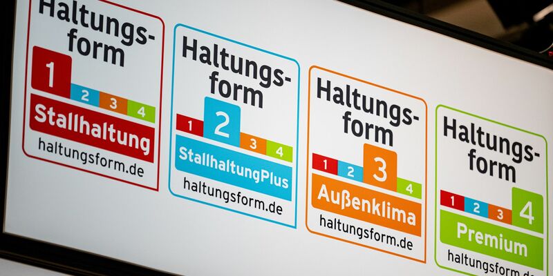 Die Umweltorganisation Greenpeace fordert mehr Tempo von den Supermarktketten. (Archivbild) - Foto: Fabian Sommer/dpa