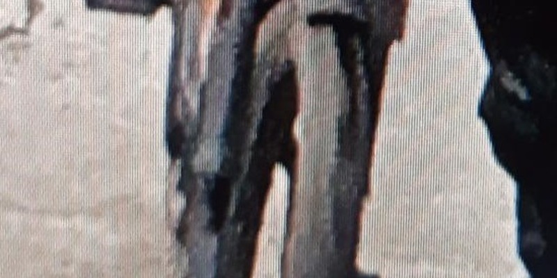 BPOL-HB: Bundespolizei-Fahnder fassen Fahrraddieb - Gestohlenes Pedelec wird noch gesucht - Foto: presseportal.de