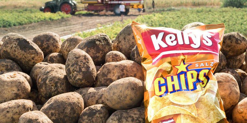 - Foto: Kelly Ges.m.b.H. über pressetext.de