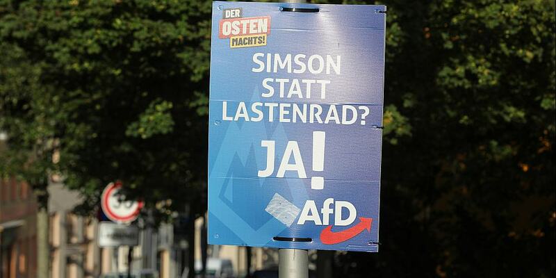 AfD-Wahlplakat zur Landtagswahl in Thüringen (Archiv) - Foto: über dts Nachrichtenagentur