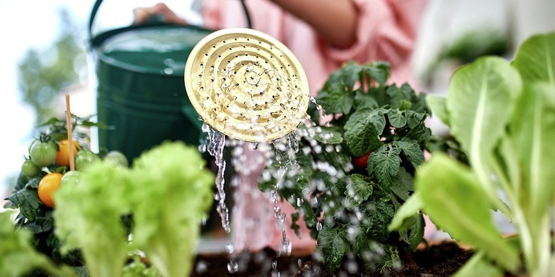 Pflanzenschutz beginnt schon vor der Aussaat - Foto: presseportal.de