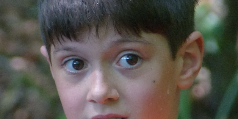 POL-PB: 10-Jähriger aus Wohngruppe vermisst - Foto: presseportal.de