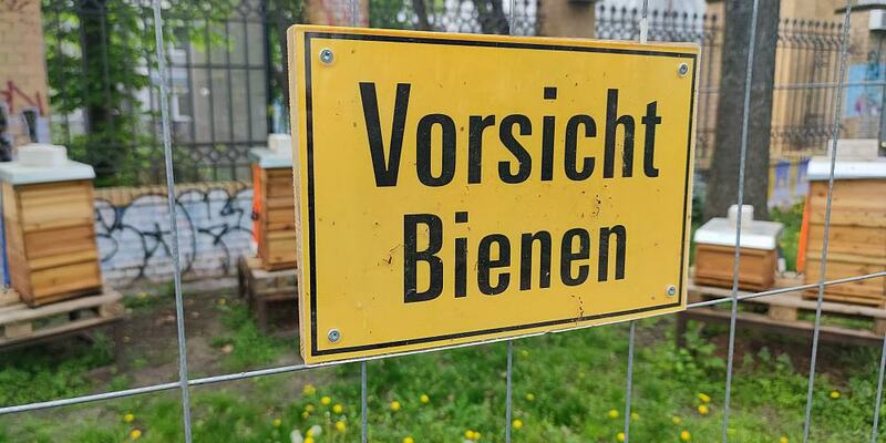 Schild mit der Aufschrift Vorsicht Bienen (Archiv) - Foto: über dts Nachrichtenagentur