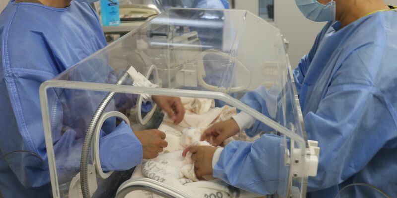 Die Panda-Zwillinge haben ein paar Gramm zugenommen. - Foto: ---/Zoo Berlin/dpa