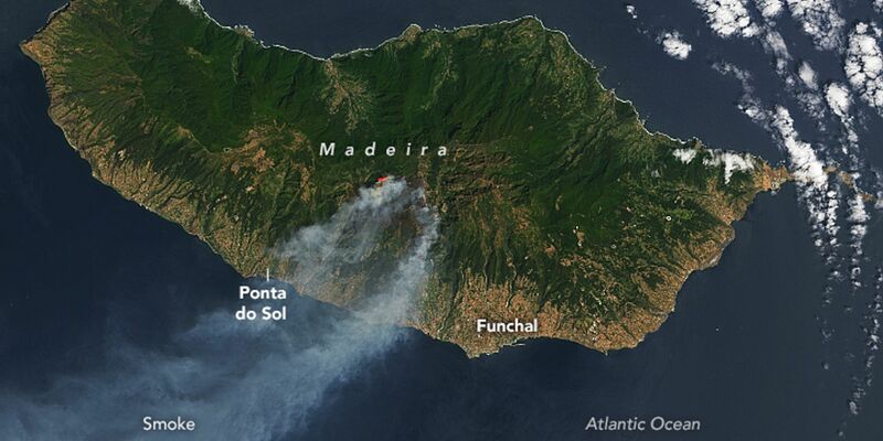 Der Rauch der Waldbrände zieht über die Insel Madeira. Bisher war Portugal in diesem Sommer von größeren Waldbränden verschont geblieben. - Foto: Nasa Earth/ZUMA Press Wire/dpa