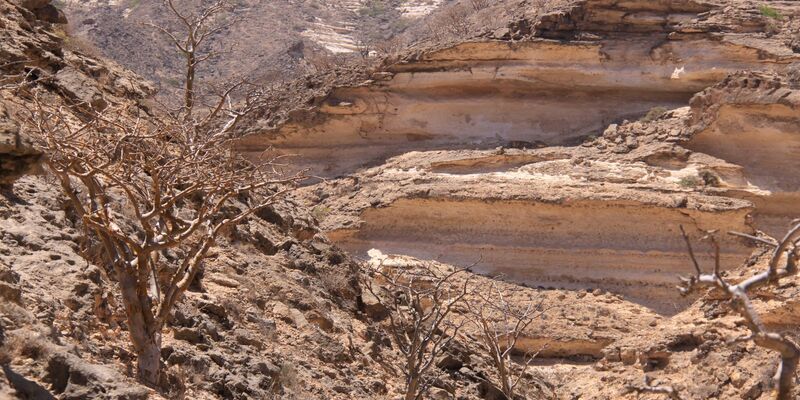 Die Gebirge im Oman ziehen viele Wander-Touristen an - Foto: Manuel Meyer/dpa-tmn