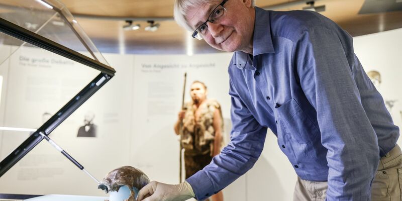So könnte er ausgesehen haben: Die Rekonstruktion im LVR-Landesmuseum Bonn zeigt den 1856 entdeckten Neandertaler. - Foto: Oliver Berg/dpa
