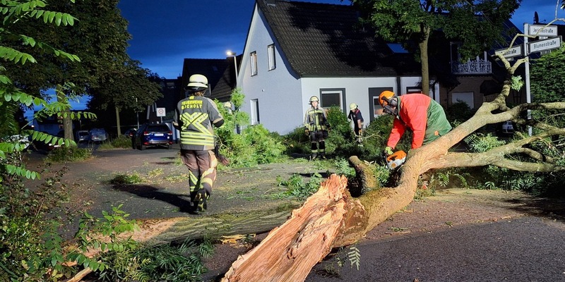 FW Bocholt: Baum auf Straße gestürzt - Foto: presseportal.de