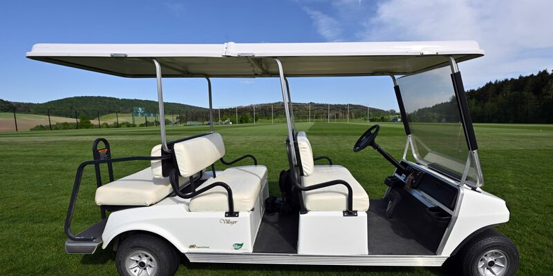 Der Fahrer des Golfcarts war betrunken. (Archivbild) - Foto: Martin Schutt/dpa
