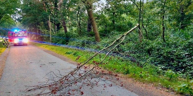 FW Hünxe: Baum auf Telefonleitung - Foto: presseportal.de