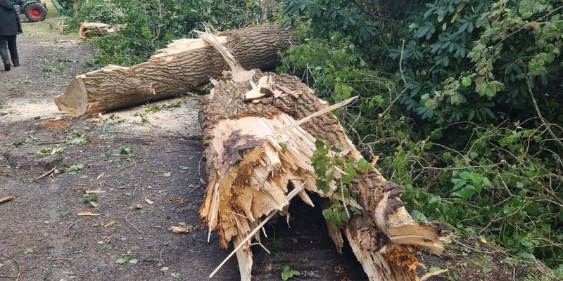 FW-LK Leer: Ein kurzes Gewitter, Sturmböen, eine Windhose und jede Menge Arbeit für die Feuerwehr - Foto: presseportal.de