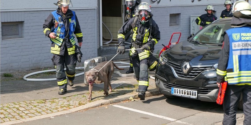 FW-DO: Hund aus Brandwohnung gerettet - Foto: presseportal.de