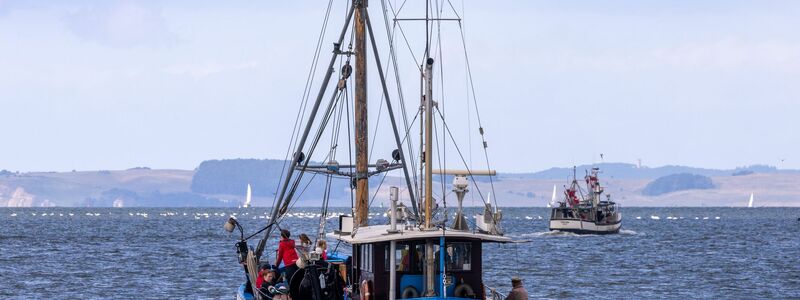 Fischkutter fahren vom Meeresarm Peenestrom auf die Ostsee. - Foto: Jens Büttner/dpa