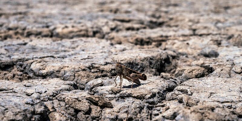 Der einstige See ist nun eine Salzwüste. - Foto: Giannis Papanikos/AP/dpa