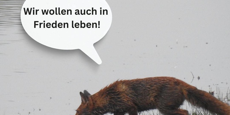 Katrin Eder für nicht tierschutzkonforme Baujagd / Tierschutz Spielball politischer Interessen in Rheinland-Pfalz - Foto: presseportal.de