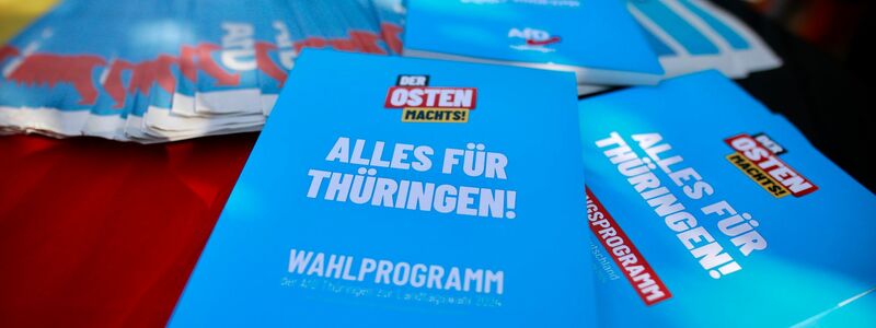 Die AfD kann laut Umfrage bei der Wahl in Thüringen damit rechnen, stärkste Partei zu werden.  - Foto: Matthias Bein/dpa