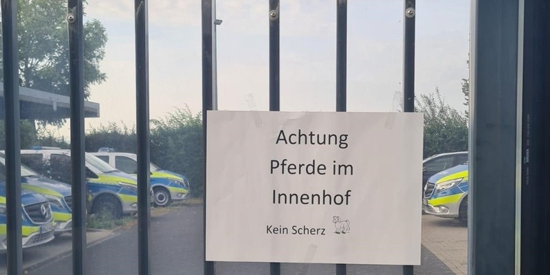 POL-AC: Gemeinsamer Einsatz der Polizei Köln und Polizei Aachen: Achtung Pferde im Innenhof - Kein Scherz! - Foto: presseportal.de