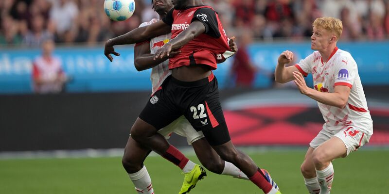 Gelb-Rote Karte für Trainer Rose. - Foto: Federico Gambarini/dpa